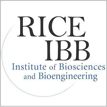 Institute of Biosciences and Bioengineering (IBB)