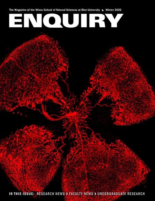 Enquiry Issue 5 Cover Image