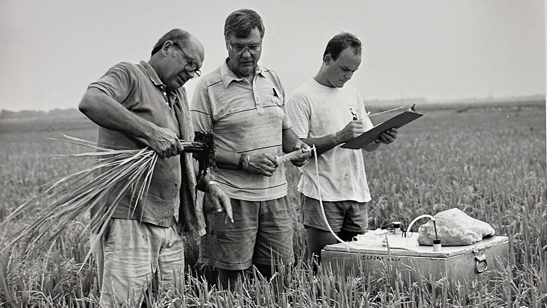 Frank Fisher, Ron Sass and graduate student Peter Adams in a rice field